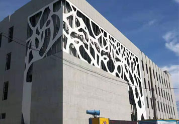 ��˾�����