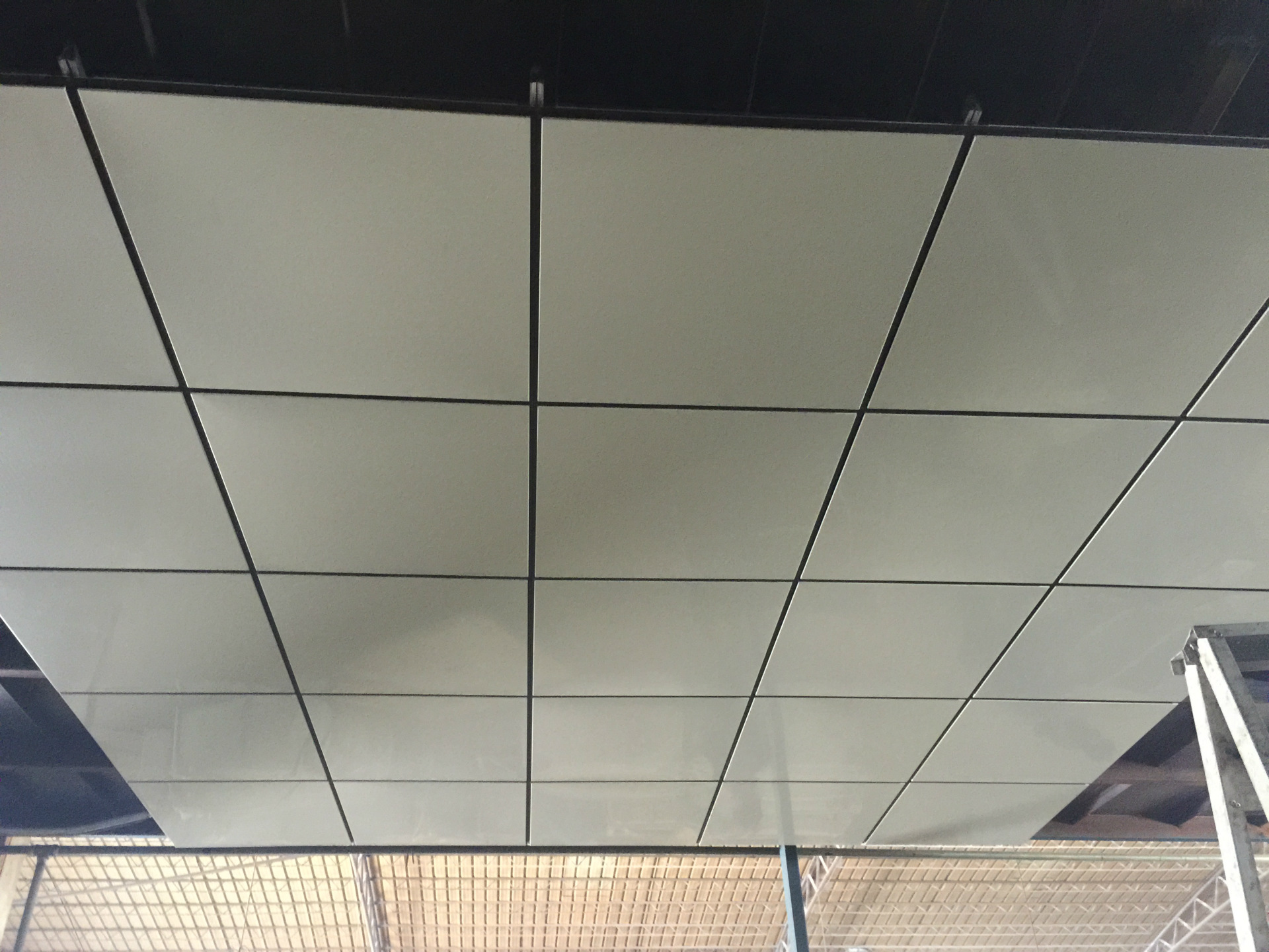 ��ηֱ����컨��ĺû���